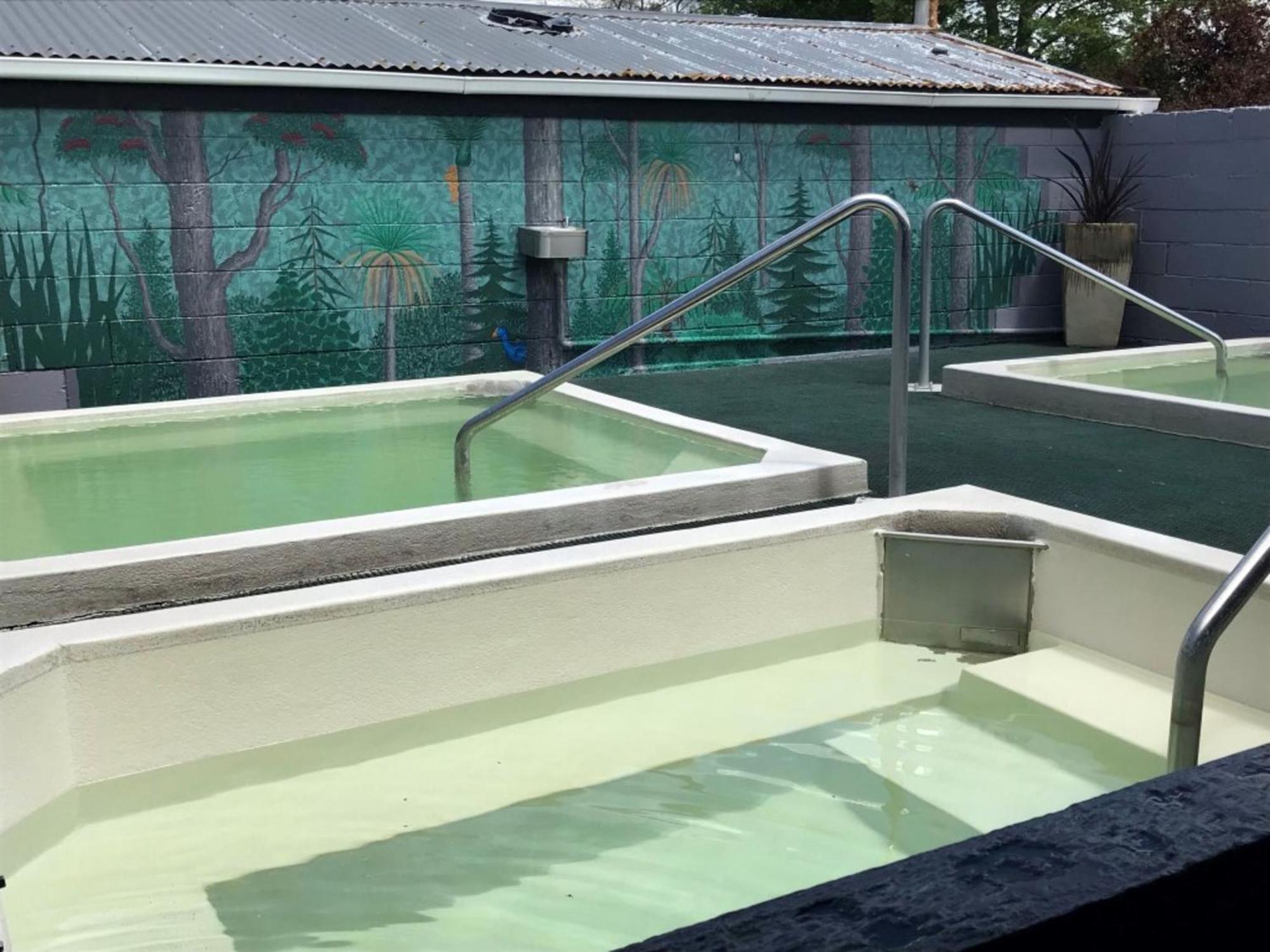 Rotorua Thermal Holiday Park Екстериор снимка